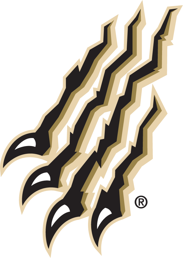 Oakland Golden Grizzlies 1998-2013 Secondary Logo v4 diy iron on heat transfer